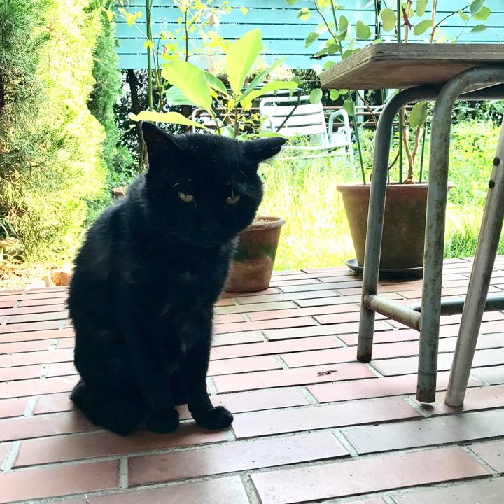 87044550 e488 408b 86c9 a6ca1055e3b1