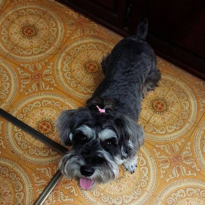 870446e2 278c 4272 9f57 c2c44ee2719d