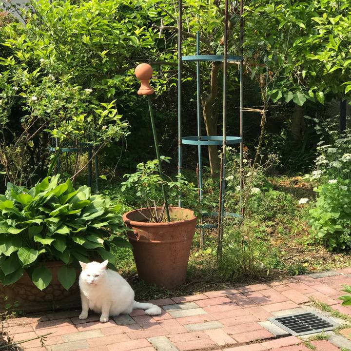 87058a41 1092 4868 9add ca400cf8b0a6