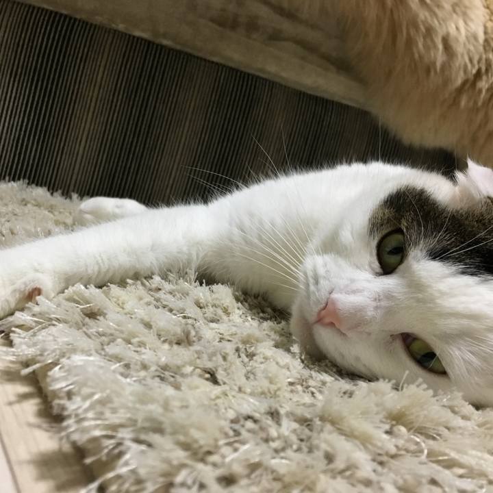 87065a83 ca90 4876 a0a0 9c79077aefe9