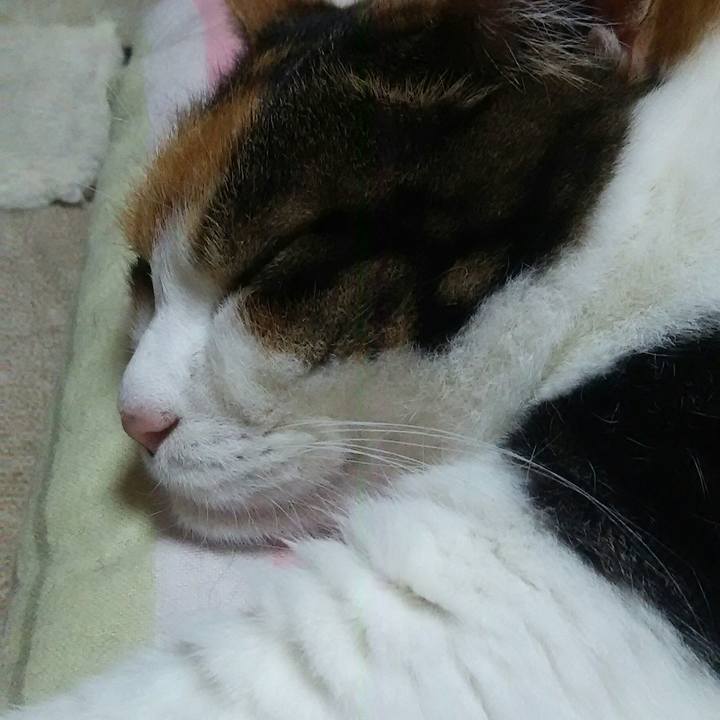 87068369 b57e 4672 8fd7 037eda6dffa5