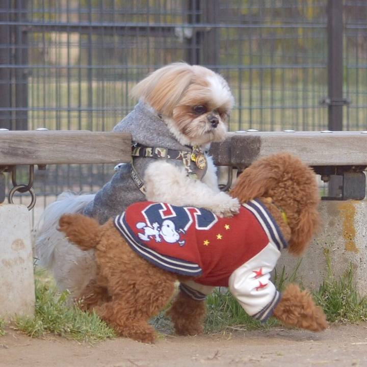 87082a9a 3d7f 4173 bb4b eca9f93629de