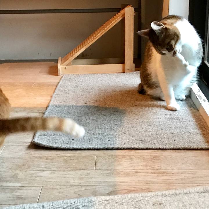 87083c51 db0f 4eaa 8128 3c9da6e09072