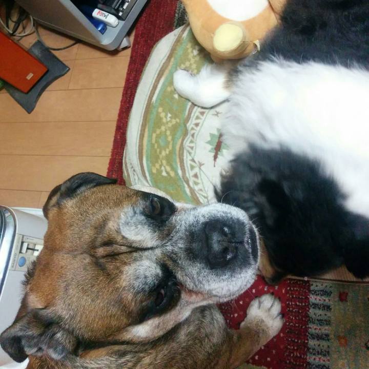 870849da 7fe3 4c8b ac75 90e8a551f9bf