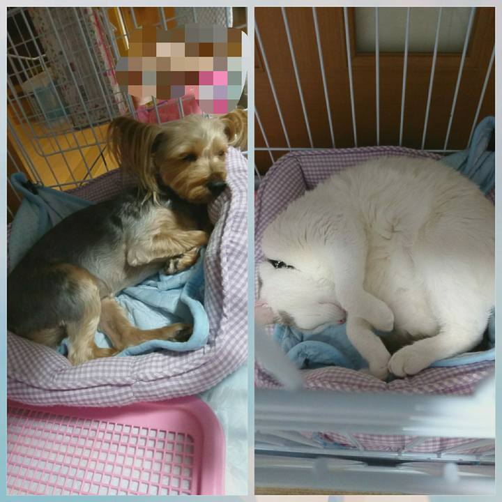 8708debb 2c34 47bb a9cd 5dd93997d194