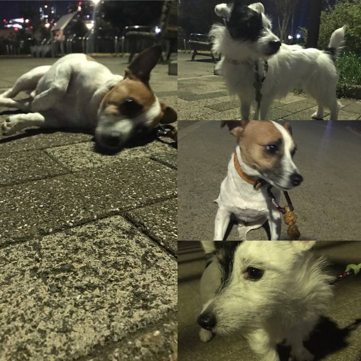 87097200 b457 4773 8a22 4c6aa0942c7c