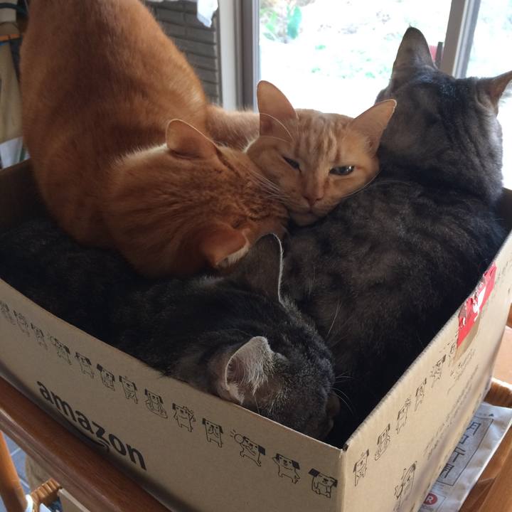 87099abd 8faa 42d2 8760 98d2392da0d3