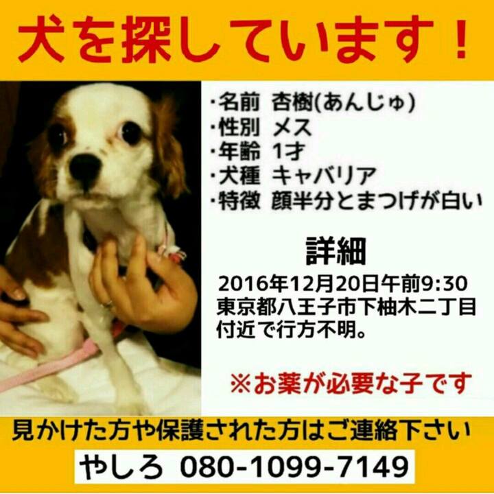 870a224d 7776 43d5 bc30 cae49dcff101