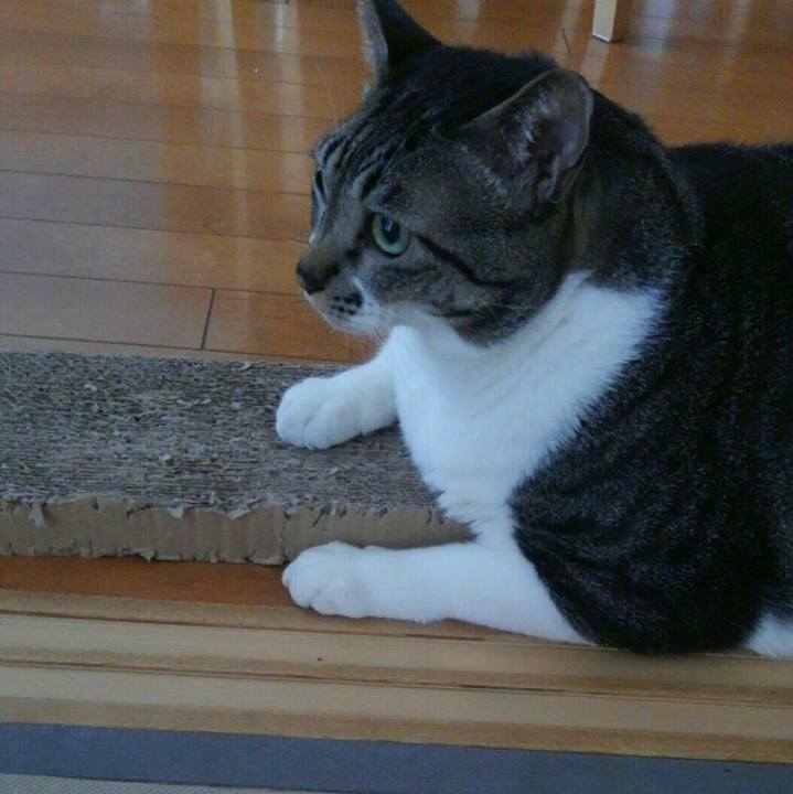 870a752b 7302 4d5c 9606 17d71be072bd