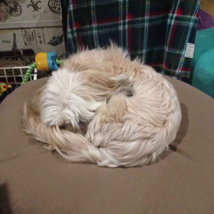 870a7d40 c8a1 40d2 a069 26069ff084b8