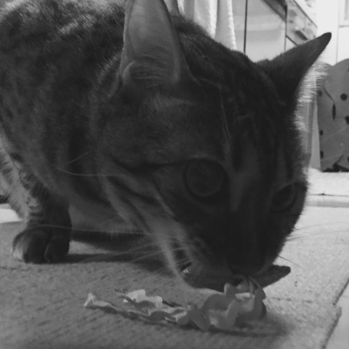 870a7f55 3d81 44a1 bda9 17148130a7c4