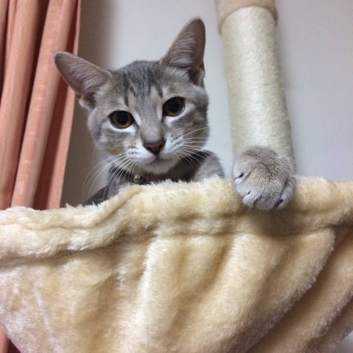 870aab34 743c 4aba a624 c1184162c87d