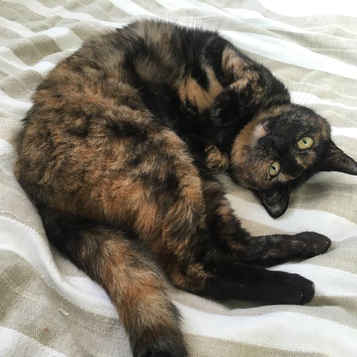 870abc33 b104 4790 b502 c39d2068aa27