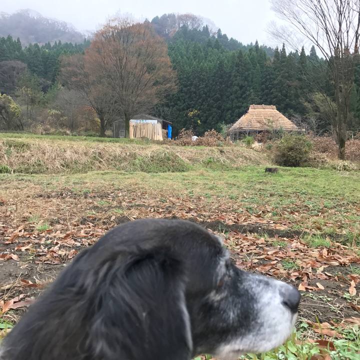 870b2cc3 8905 44b6 bc6e 4094e3f05b3f