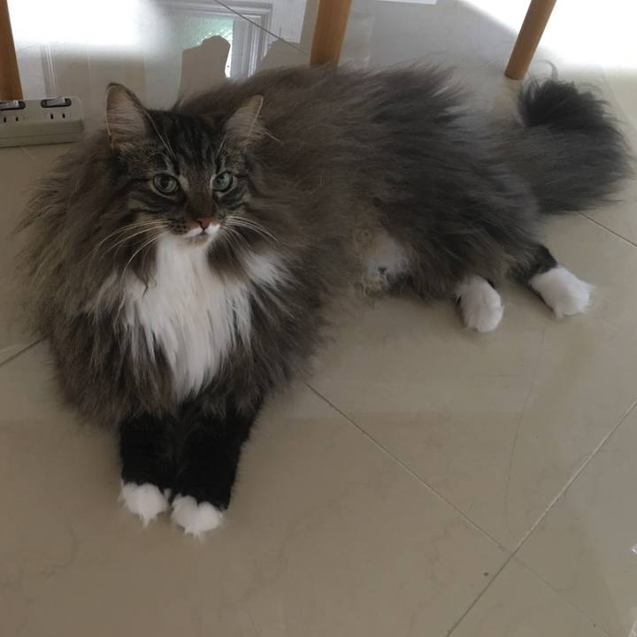 870be86a babc 4529 b533 f1c87c20eec0