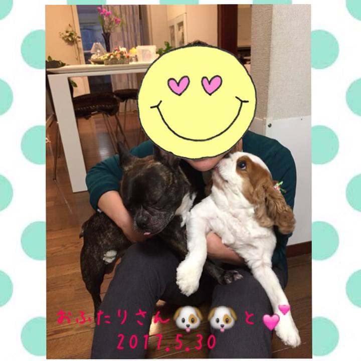 870c115d c7f0 4ec9 a603 0a556f62b095