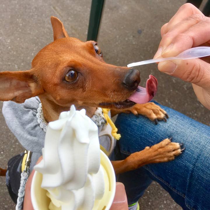 870c5ffb 2364 499a 89ec e7cda832a684