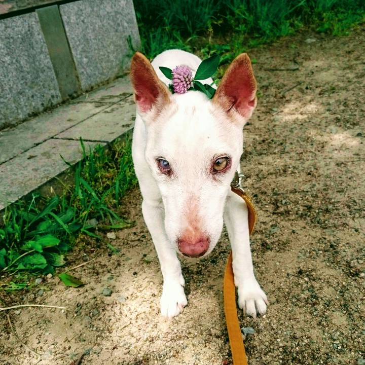 870ce30a d1e3 4e77 8609 69700c4583c8