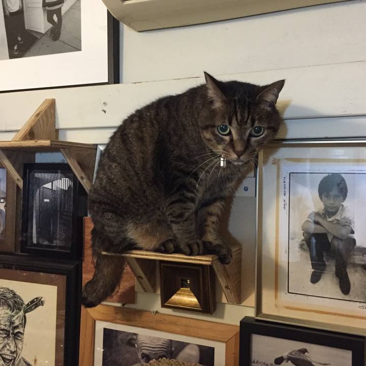 870db33d ffb0 4355 8841 40c0a9e19239