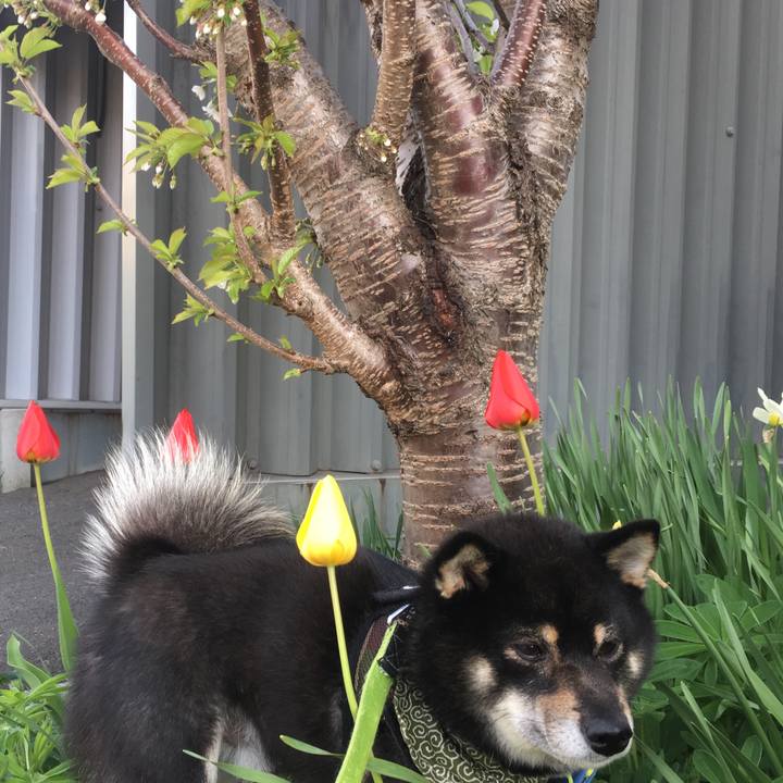 870dd16d ee16 4149 bd44 3ed830247172