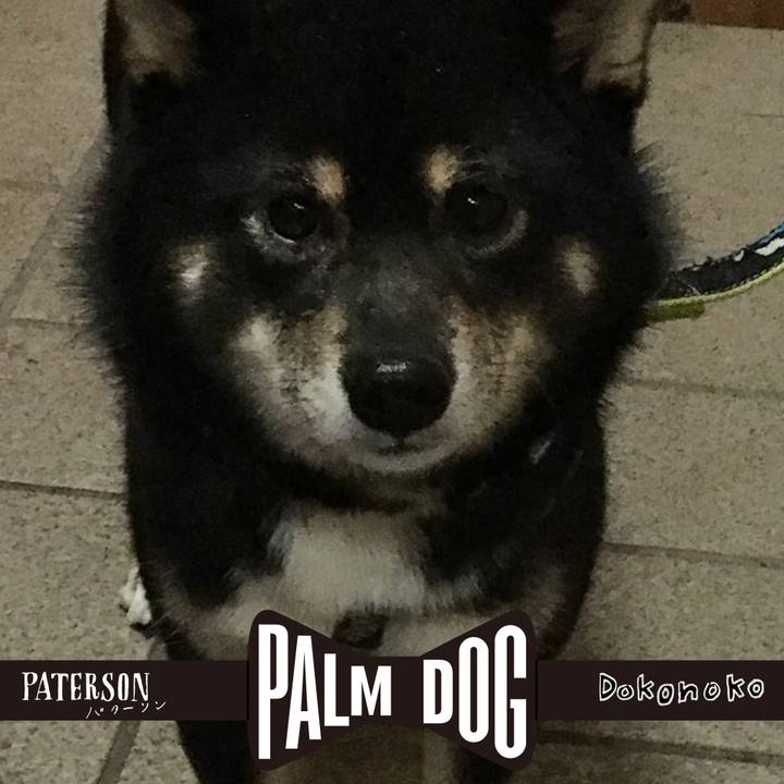 870de2a8 b862 41cb aa9b 47f14a88270c