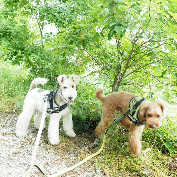 870e223a 4479 4958 83a4 8da4911e1d2e