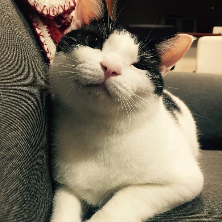 870e5b23 2aa7 4c5f 9b8a 274dd54c542c