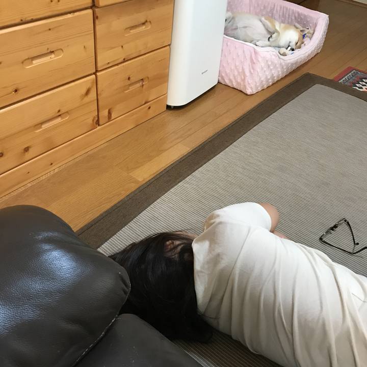 870e9e26 69ef 4c1f 8379 ee9562b67783