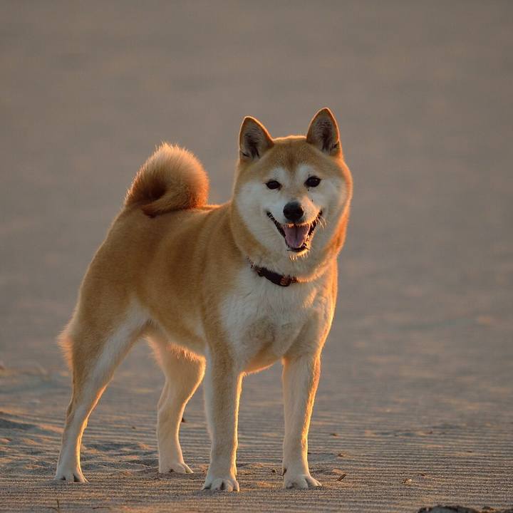 870eb009 8d03 42c3 94ac 6f22053a816b