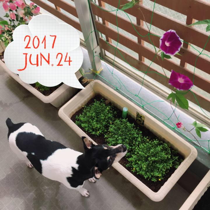 87107cd8 cc88 44a3 a226 8e7a067b1a55