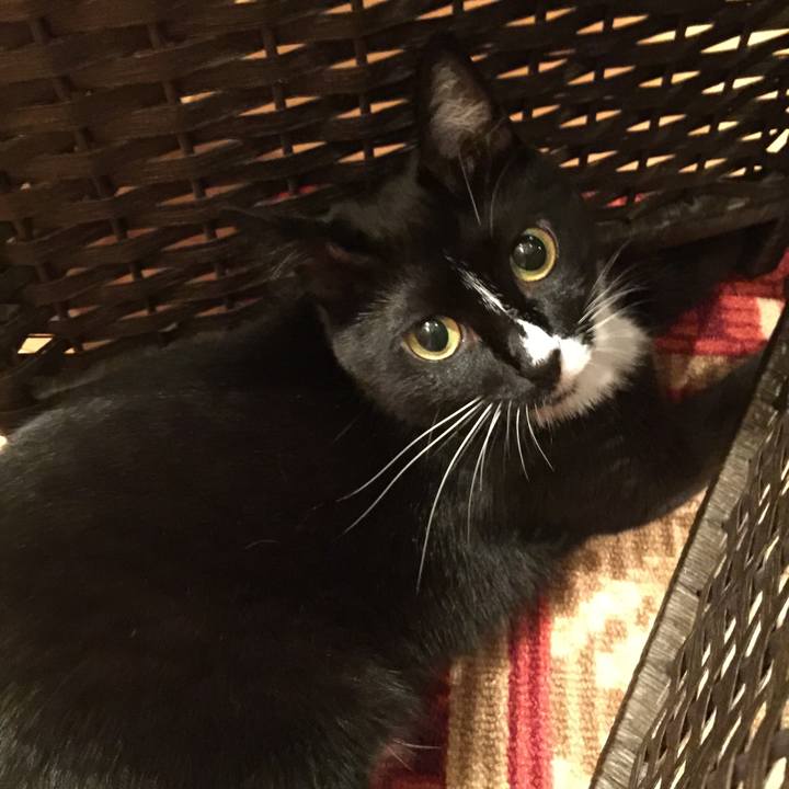 8710e5a8 7a6d 4e7e b8e7 37dbd4b3908f