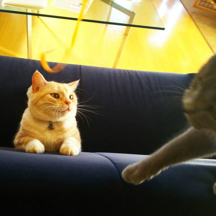 871197b4 e2f4 4522 8abd 61401cfd73bd