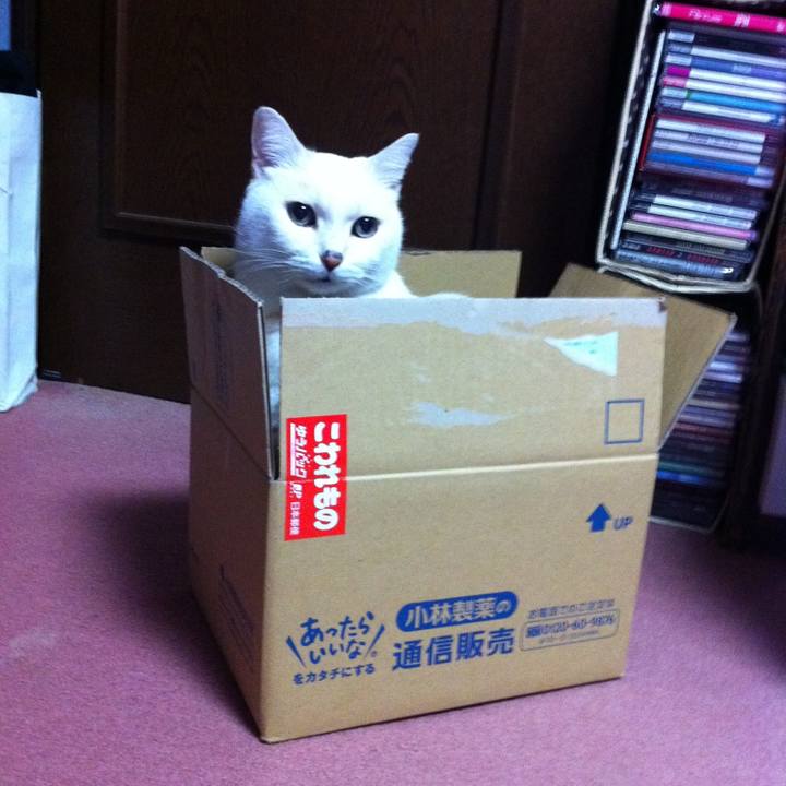 8711f9d5 529a 4e7b 8538 116209d2fcf5