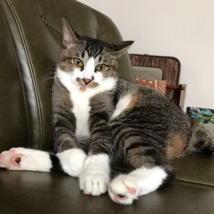 87120468 4e92 484a 933e 086bfc3774a7