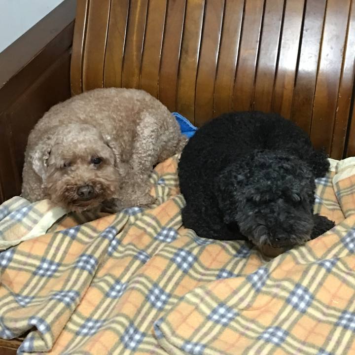 87129add 6125 4843 97a9 502876fa8dac