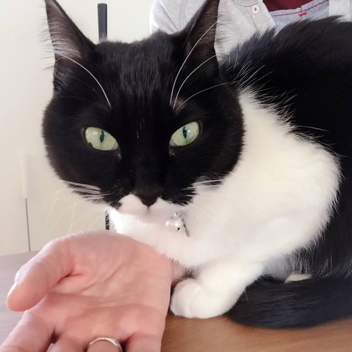 8712a0f2 4c23 4c94 a25f b68407c585e5