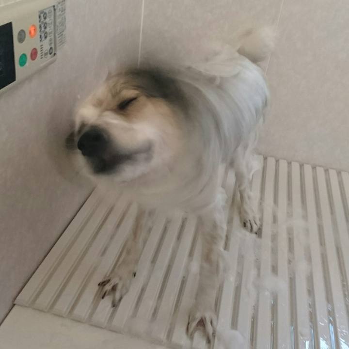 871356f6 bdd0 4155 b54d 70c3a3d877ad