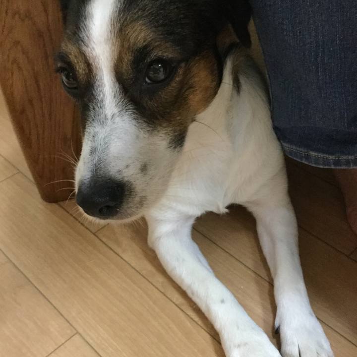 87137ce6 9ced 457e a6f1 b300a2003d39