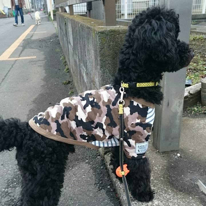 871397a2 2417 4fc1 a3c0 ad544ee3451d