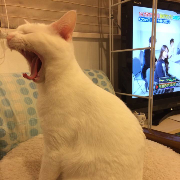 8714b9ea 325b 4c6f b908 509fe1ece451