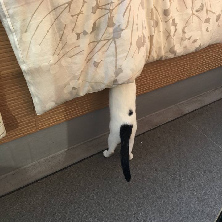 8714bb3f bbfb 44e4 b04c 4a00db774da9