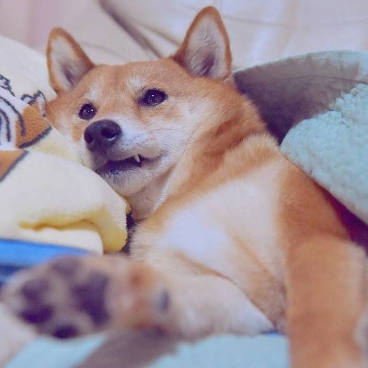 8714bfa1 ca70 4986 96b2 187602e167e3