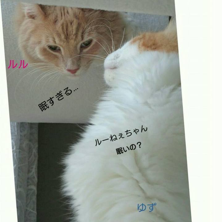 8714ec04 3da8 4b17 8a57 711a8dd3e920