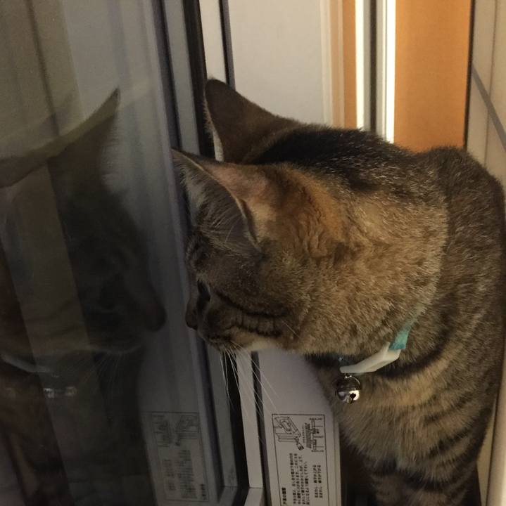 87152c76 313b 41bd 9fe4 8f366c42cdd7