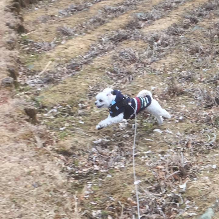 87158682 6ace 4c42 8f7d 6a41f034a081