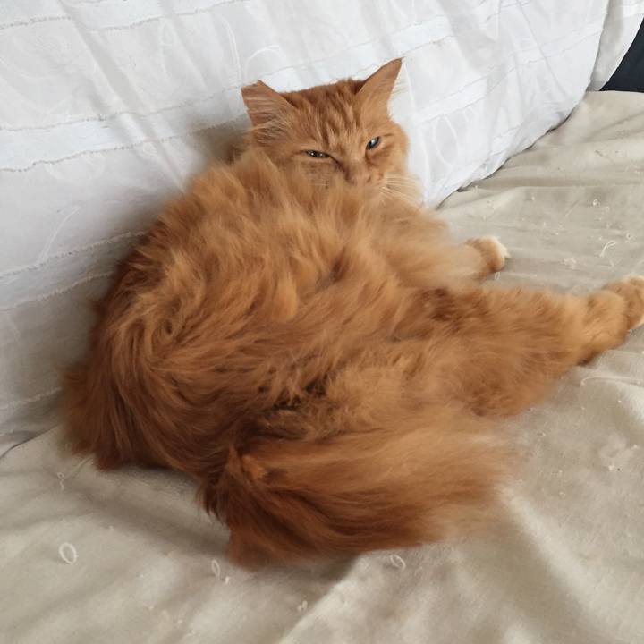 8715a436 12d4 4526 ad04 4a66f7004935