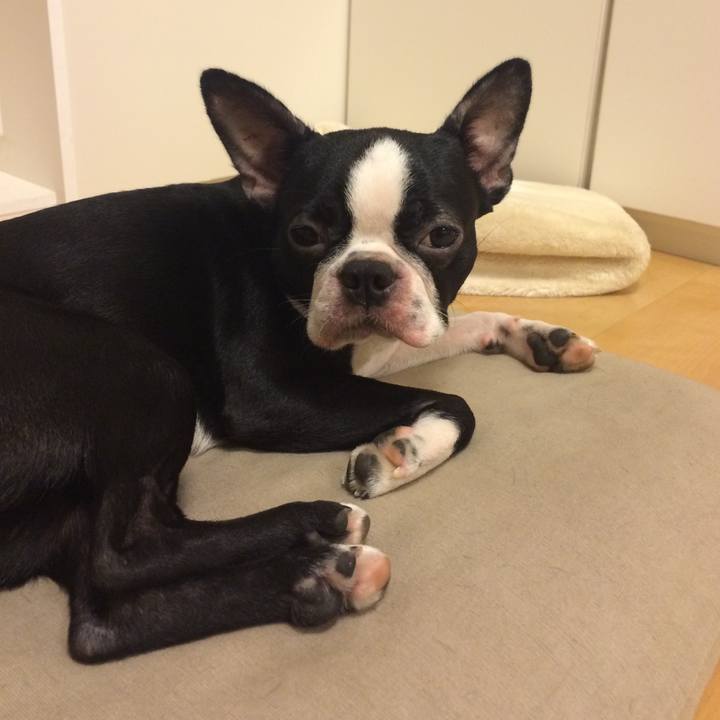 8715f6f3 56df 45d2 9a35 f4e1073fe7b5