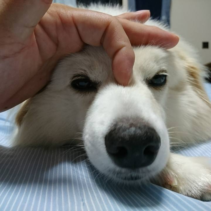 87167457 0cb0 464b 8d5f e0e307b33469