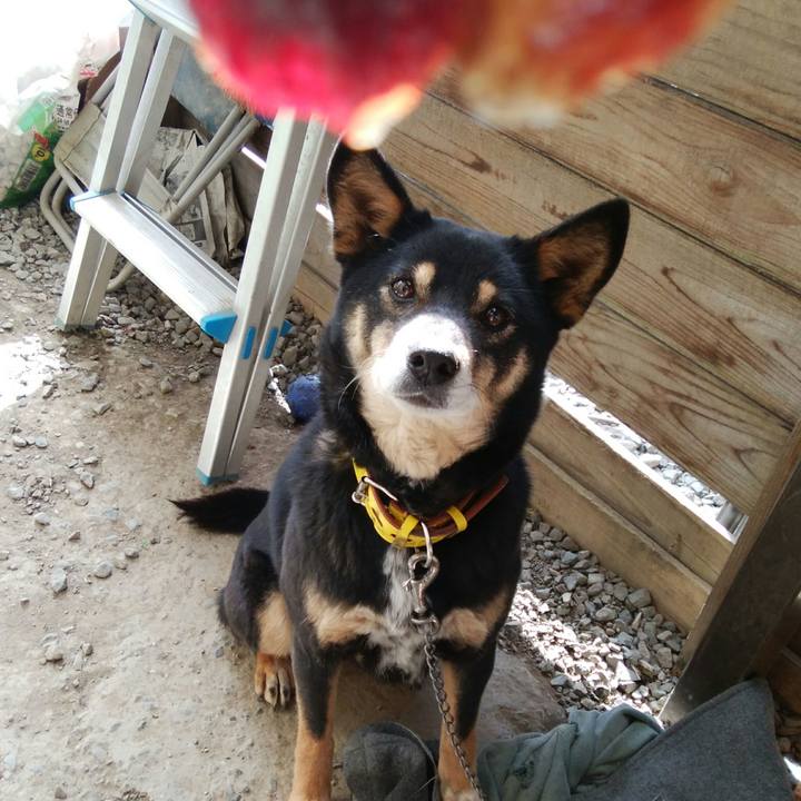 87167da2 31d8 410b adff 370ce1471fd9