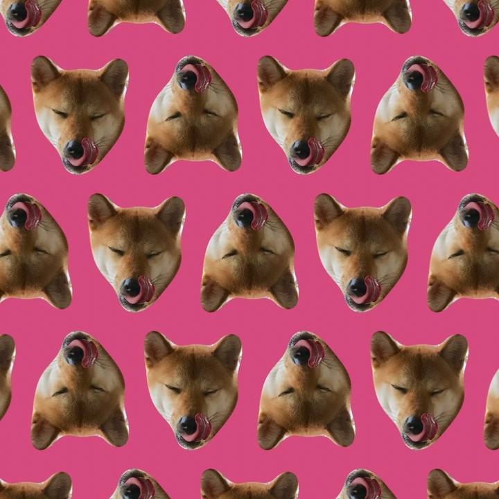 87169e38 692a 4145 9676 e4bebe6bfd23